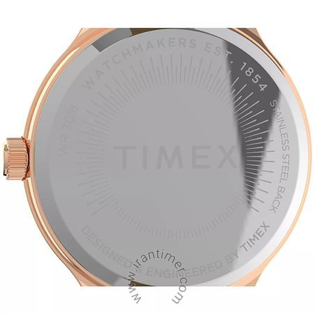 قیمت و خرید ساعت مچی زنانه تایمکس(TIMEX) مدل TW2V06700 کلاسیک | اورجینال و اصلی