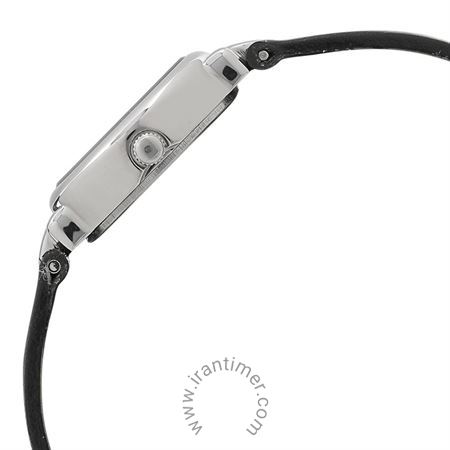 قیمت و خرید ساعت مچی زنانه تایتِن(TITAN) مدل T2594SL01 کلاسیک | اورجینال و اصلی