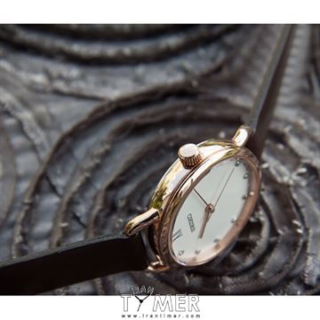 قیمت و خرید ساعت مچی زنانه سیکو(SEIKO) مدل SUR698P2 کلاسیک | اورجینال و اصلی
