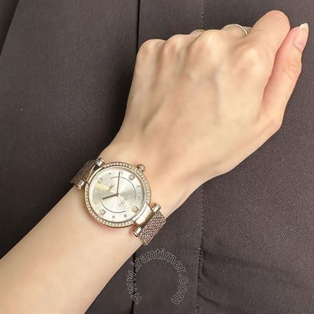 قیمت و خرید ساعت مچی زنانه کوچ(Coach) مدل 14503996 فشن | اورجینال و اصلی