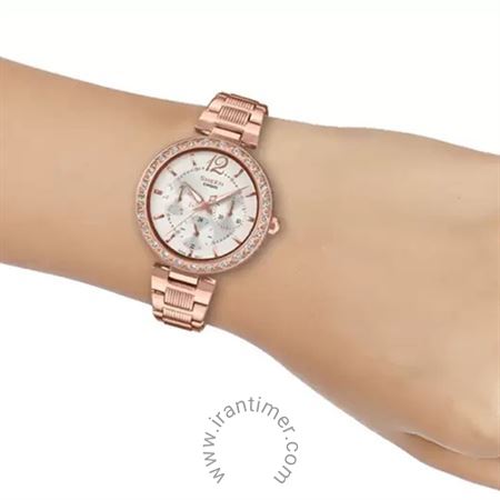 قیمت و خرید ساعت مچی زنانه کاسیو (CASIO) شین مدل SHE-3065PG-7AUDF فشن | اورجینال و اصلی