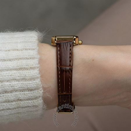 قیمت و خرید ساعت مچی زنانه تایمکس(TIMEX) مدل TW2Y00900 کلاسیک | اورجینال و اصلی