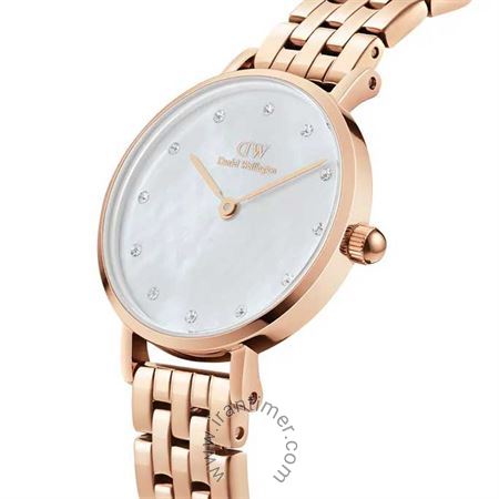 قیمت و خرید ساعت مچی زنانه دنیل ولینگتون(DANIEL WELLINGTON) مدل DW00100613 فشن | اورجینال و اصلی