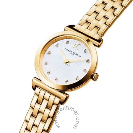 قیمت و خرید ساعت مچی زنانه پیر کاردین(PIERRE CARDIN) مدل CF.0812.SE.G فشن | اورجینال و اصلی