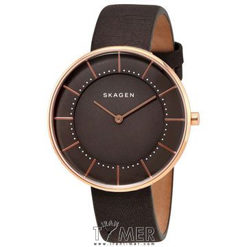 قیمت و خرید ساعت مچی زنانه اسکاگن(SKAGEN) مدل SKW2613 کلاسیک | اورجینال و اصلی
