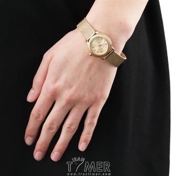 قیمت و خرید ساعت مچی زنانه دی کی ان وای(DKNY) مدل NY8553 کلاسیک | اورجینال و اصلی