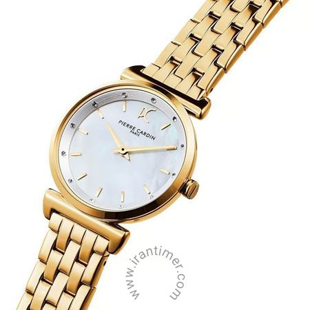 قیمت و خرید ساعت مچی زنانه پیر کاردین(PIERRE CARDIN) مدل CF.0812.SE.G.1 کلاسیک | اورجینال و اصلی