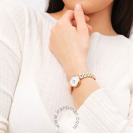 قیمت و خرید ساعت مچی زنانه دنیل ولینگتون(DANIEL WELLINGTON) مدل DW00100717 کلاسیک | اورجینال و اصلی