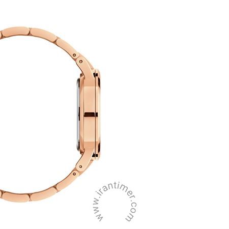 قیمت و خرید ساعت مچی زنانه دنیل ولینگتون(DANIEL WELLINGTON) مدل DW00100214-001 کلاسیک | اورجینال و اصلی