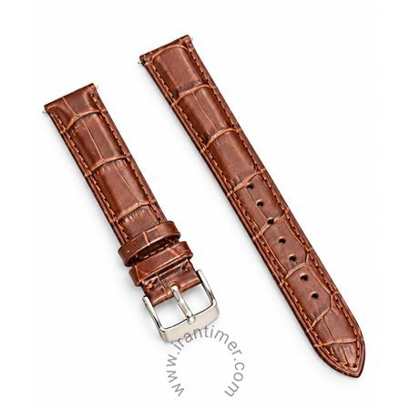 لوازم جانبی سلکشن مدل Strap Watch Brown18