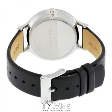 قیمت و خرید ساعت مچی زنانه اسکاگن(SKAGEN) مدل SKW2415 کلاسیک | اورجینال و اصلی