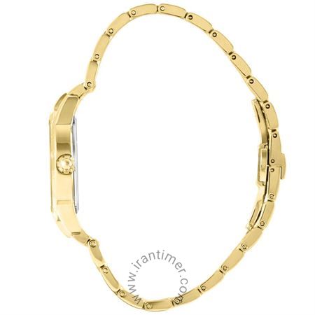 قیمت و خرید ساعت مچی زنانه اگنر(AIGNER) مدل A11221 کلاسیک | اورجینال و اصلی