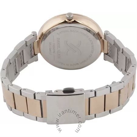 قیمت و خرید ساعت مچی زنانه دنیل کلین(Daniel Klein) مدل DK.1.12401-1 کلاسیک | اورجینال و اصلی