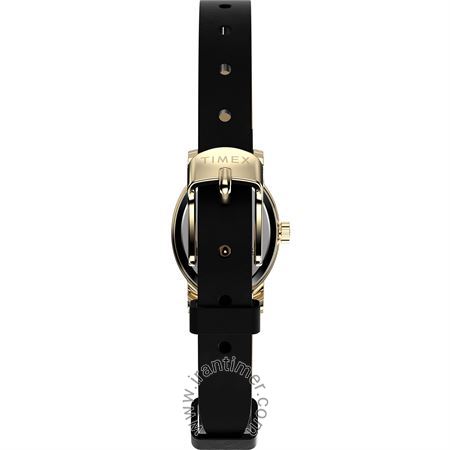 قیمت و خرید ساعت مچی زنانه تایمکس(TIMEX) مدل TW2W82600 کلاسیک | اورجینال و اصلی
