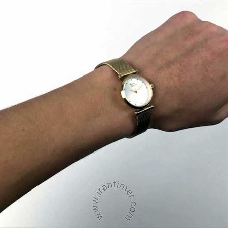 قیمت و خرید ساعت مچی زنانه پیر ریکو(Pierre Ricaud) مدل P22036.1143Q کلاسیک | اورجینال و اصلی