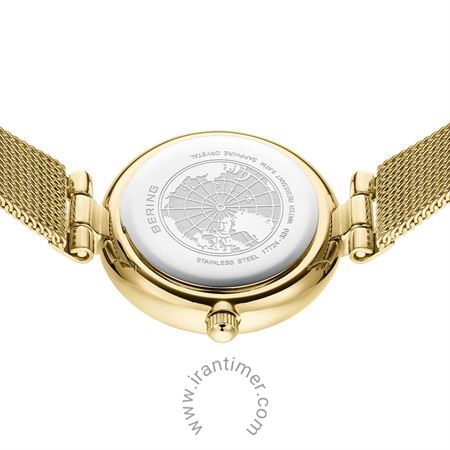 قیمت و خرید ساعت مچی زنانه برینگ(BERING) مدل B17724-330 کلاسیک | اورجینال و اصلی