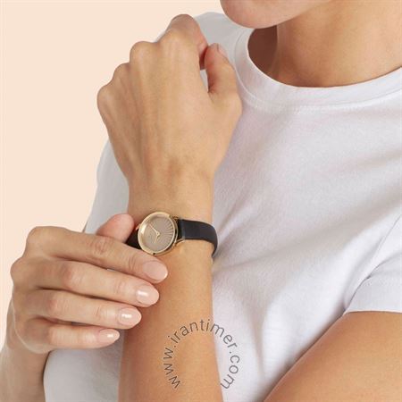 قیمت و خرید ساعت مچی زنانه پیر کاردین(PIERRE CARDIN) مدل CPI.2514 کلاسیک | اورجینال و اصلی