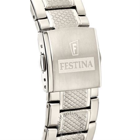قیمت و خرید ساعت مچی مردانه فستینا(FESTINA) مدل F20439/2 کلاسیک | اورجینال و اصلی