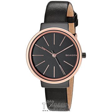 قیمت و خرید ساعت مچی زنانه اسکاگن(SKAGEN) مدل SKW2480 کلاسیک | اورجینال و اصلی