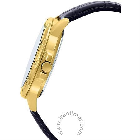 قیمت و خرید ساعت مچی مردانه کاسیو (CASIO) جنرال مدل MTP-VD01GL-1EVUDF کلاسیک | اورجینال و اصلی