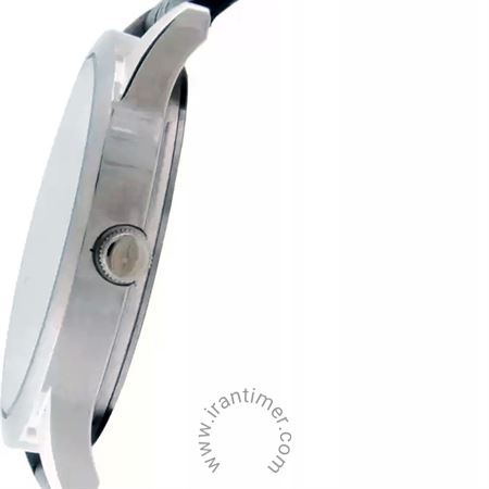 قیمت و خرید ساعت مچی مردانه تایتِن(TITAN) مدل T1584SL02 کلاسیک | اورجینال و اصلی