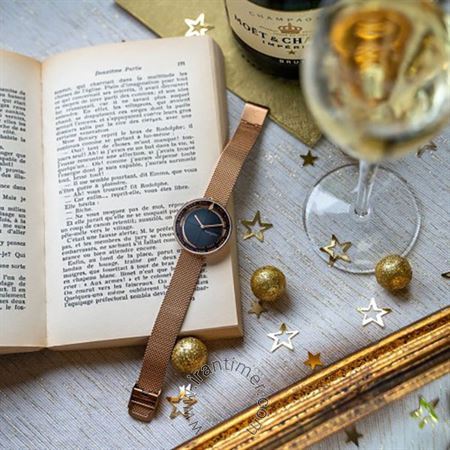 قیمت و خرید ساعت مچی زنانه پیر کاردین(PIERRE CARDIN) مدل CMA.0001 کلاسیک | اورجینال و اصلی
