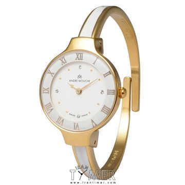 قیمت و خرید ساعت مچی زنانه آندره موشه(ANDREMOUCHE) مدل 420-01191 کلاسیک فشن | اورجینال و اصلی