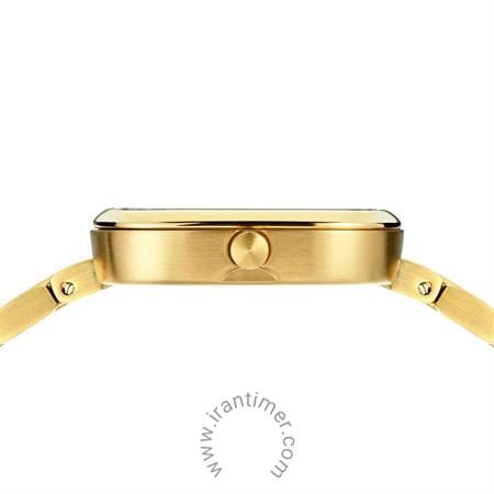 قیمت و خرید ساعت مچی زنانه برینگ(BERING) مدل B17926-734 کلاسیک | اورجینال و اصلی