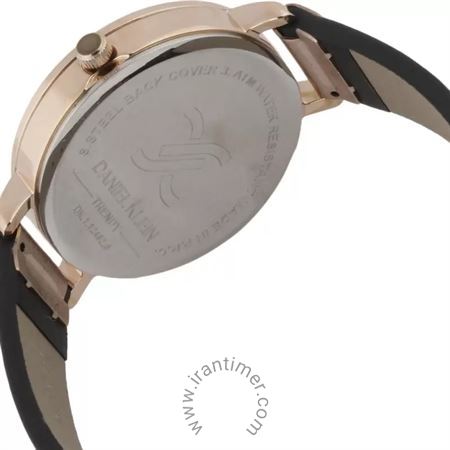 قیمت و خرید ساعت مچی زنانه دنیل کلین(Daniel Klein) مدل DK.1.12492-6 کلاسیک | اورجینال و اصلی