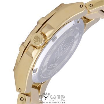 قیمت و خرید ساعت مچی زنانه سوئیس ایگل(SWISS EAGLE) مدل SE6041-33 کلاسیک | اورجینال و اصلی