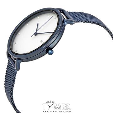 قیمت و خرید ساعت مچی زنانه اسکاگن(SKAGEN) مدل SKW2579 کلاسیک | اورجینال و اصلی