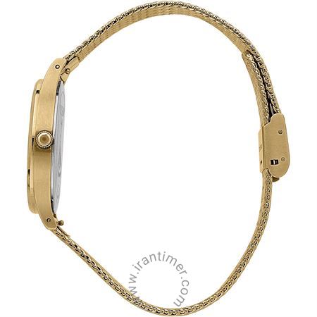 قیمت و خرید ساعت مچی زنانه تروساردی(TRUSSARDI) مدل R2453152506 فشن | اورجینال و اصلی
