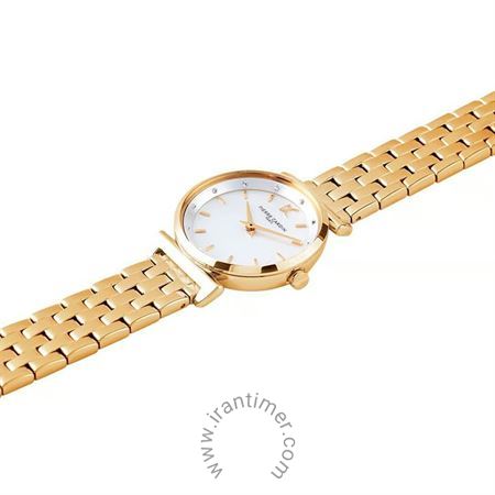 قیمت و خرید ساعت مچی زنانه پیر کاردین(PIERRE CARDIN) مدل CF.0812.SE.G.1 کلاسیک | اورجینال و اصلی