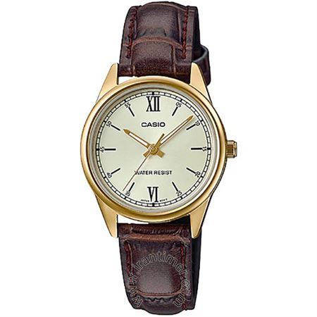 قیمت و خرید ساعت مچی زنانه کاسیو (CASIO) جنرال مدل LTP-V005GL-9BUDF کلاسیک | اورجینال و اصلی