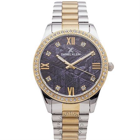 قیمت و خرید ساعت مچی زنانه دنیل کلین(Daniel Klein) مدل DK.1.12541-5 کلاسیک فشن | اورجینال و اصلی