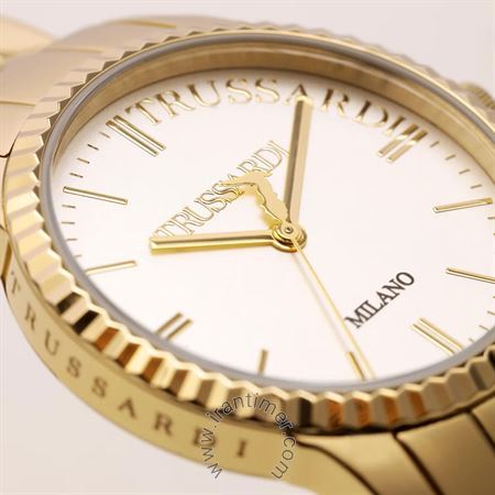 قیمت و خرید ساعت مچی زنانه تروساردی(TRUSSARDI) مدل R2453144504 کلاسیک | اورجینال و اصلی