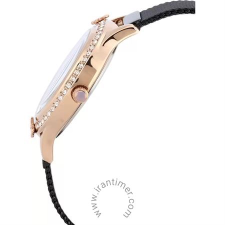 قیمت و خرید ساعت مچی زنانه دنیل کلین(Daniel Klein) مدل DK.1.12295-5 فشن | اورجینال و اصلی