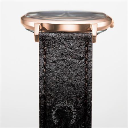 قیمت و خرید ساعت مچی زنانه سیتیزن(CITIZEN) مدل EG7072-19X کلاسیک | اورجینال و اصلی
