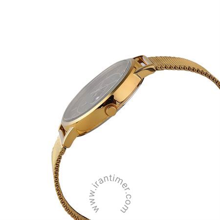 قیمت و خرید ساعت مچی مردانه کاسیو (CASIO) جنرال مدل MTP-B135MG-1AVDF کلاسیک | اورجینال و اصلی
