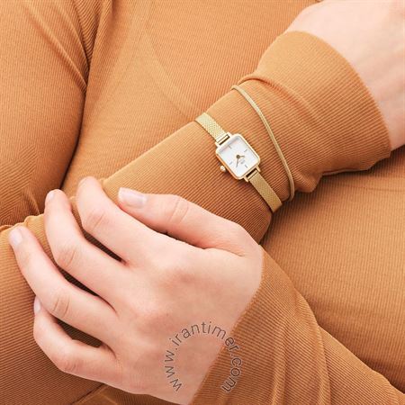 قیمت و خرید ساعت مچی زنانه دنیل ولینگتون(DANIEL WELLINGTON) مدل DW00100725 کلاسیک | اورجینال و اصلی