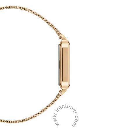 قیمت و خرید ساعت مچی زنانه دنیل ولینگتون(DANIEL WELLINGTON) مدل DW00100556 کلاسیک | اورجینال و اصلی