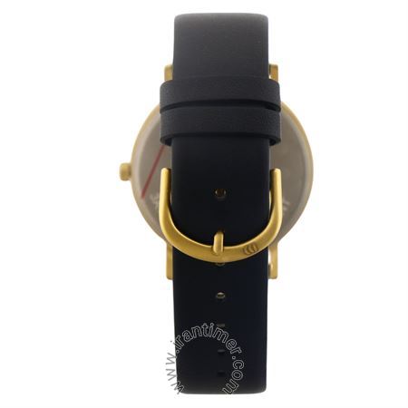 قیمت و خرید ساعت مچی مردانه دنیش دیزاین(Danish Design) مدل IQ81Q1273 کلاسیک | اورجینال و اصلی