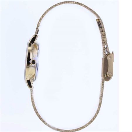 قیمت و خرید ساعت مچی زنانه برینگ(BERING) مدل B13426-334 کلاسیک | اورجینال و اصلی