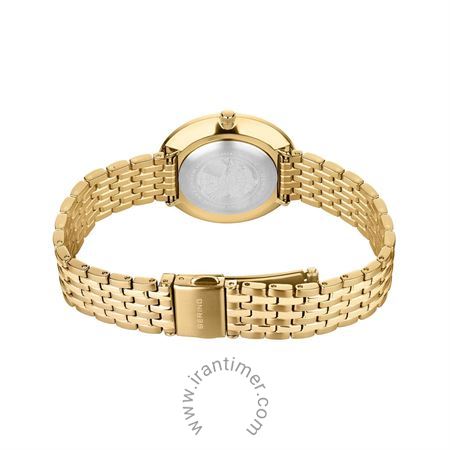 قیمت و خرید ساعت مچی زنانه برینگ(BERING) مدل B19334-334 کلاسیک | اورجینال و اصلی