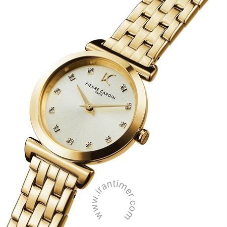 قیمت و خرید ساعت مچی زنانه پیر کاردین(PIERRE CARDIN) مدل CF.0807.SE.G فشن | اورجینال و اصلی
