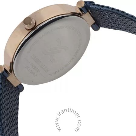 قیمت و خرید ساعت مچی زنانه دنیل کلین(Daniel Klein) مدل DK.1.12470-7 کلاسیک | اورجینال و اصلی