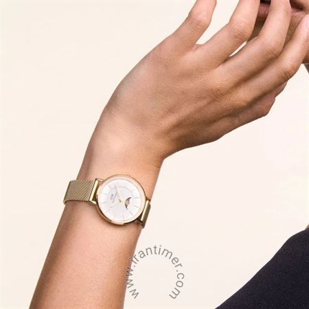 قیمت و خرید ساعت مچی زنانه دنیل ولینگتون(DANIEL WELLINGTON) مدل DW00100771 کلاسیک | اورجینال و اصلی
