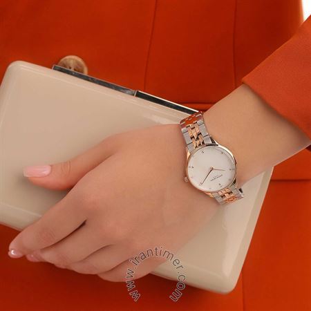 قیمت و خرید ساعت مچی زنانه پیر کاردین(PIERRE CARDIN) مدل PC902722F209 کلاسیک | اورجینال و اصلی
