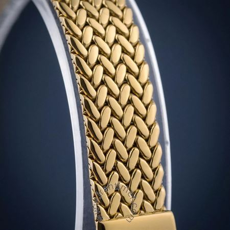 قیمت و خرید ساعت مچی زنانه آدریاتیکا(ADRIATICA) مدل A3819.1144Q کلاسیک | اورجینال و اصلی