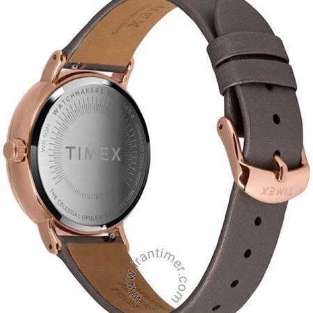 قیمت و خرید ساعت مچی زنانه تایمکس(TIMEX) مدل TW2T87700 کلاسیک | اورجینال و اصلی